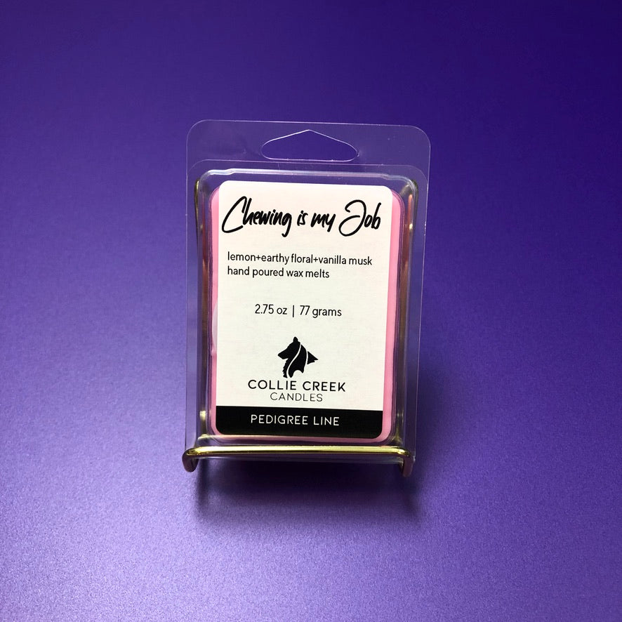 Bubble gum scented wax melt called Chewing is my Job on purple background.