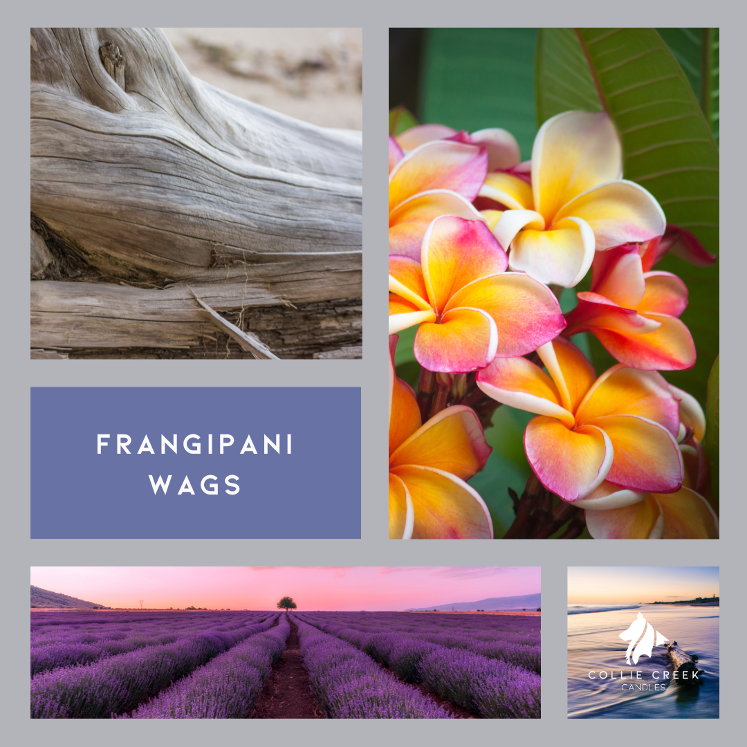Frangipani Wags