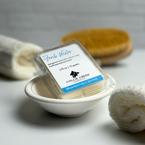 Wax melt called Fresh Water from Collie Creek Candles sitting in bathroom setting
