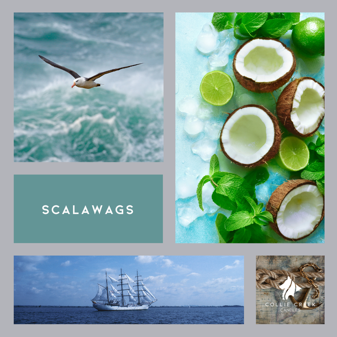 A mood board style image with an albatross bird, lime, mint and coconuts, a three masted sailing ship and a nautical anchor and rope.