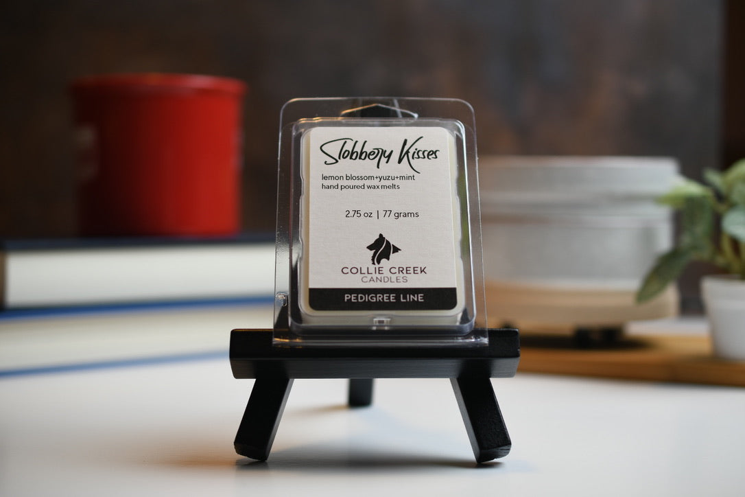 Slobbery Kissed | 6 Cavity Wax Melt