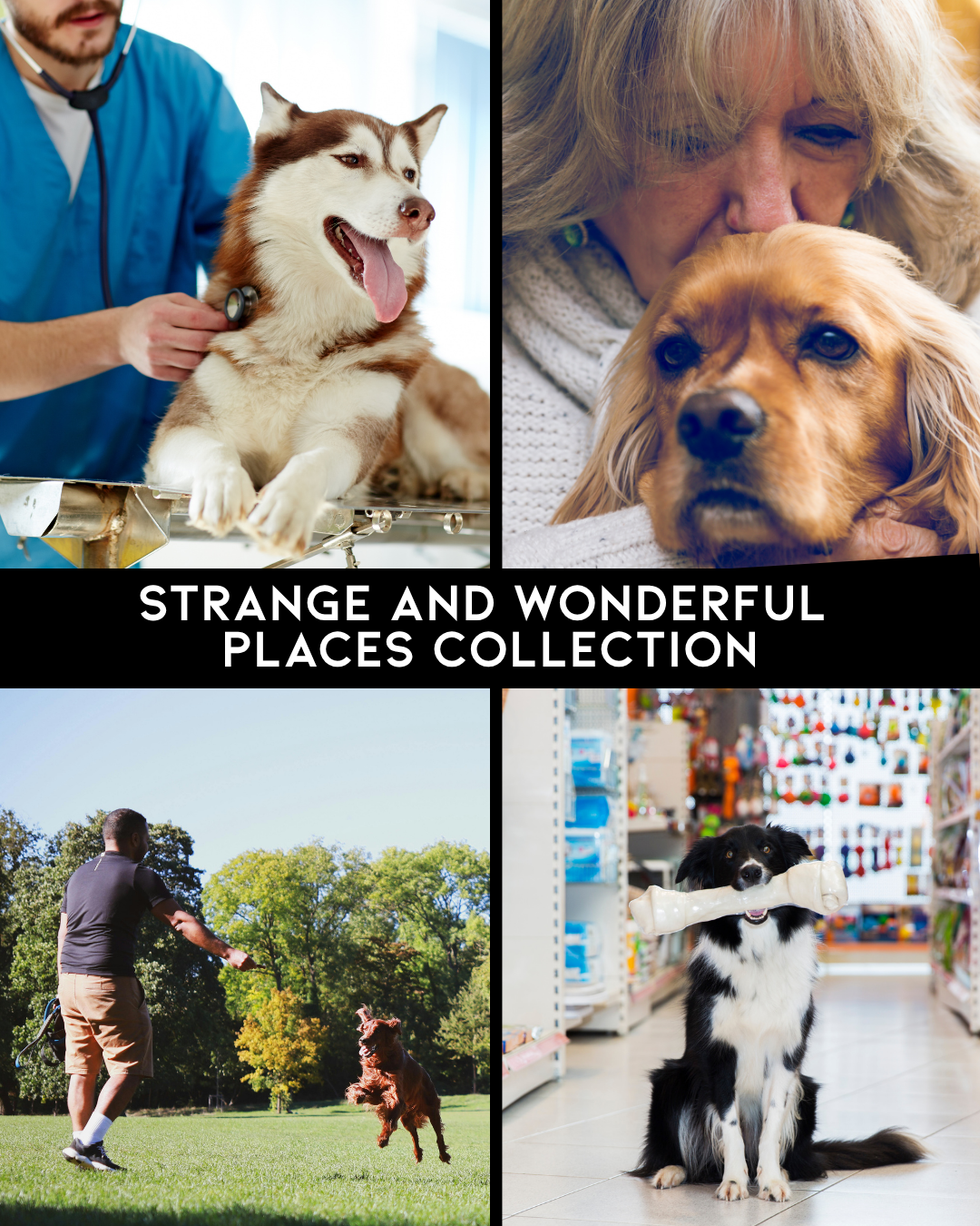 Strange and Wonderful Places Collection