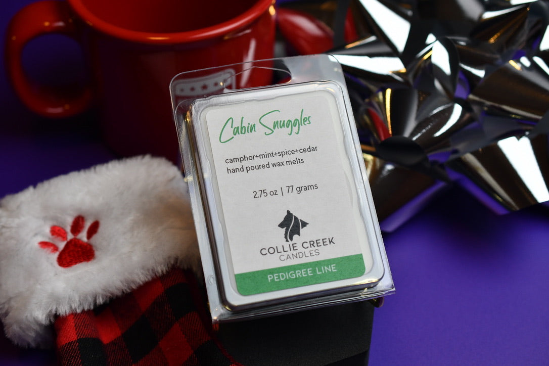 Cabin Snuggles camphor mint and spice scented wax melt in Christmas holiday setting.