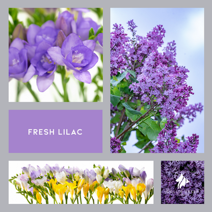 Fresh Lilac mood board with various floral images.