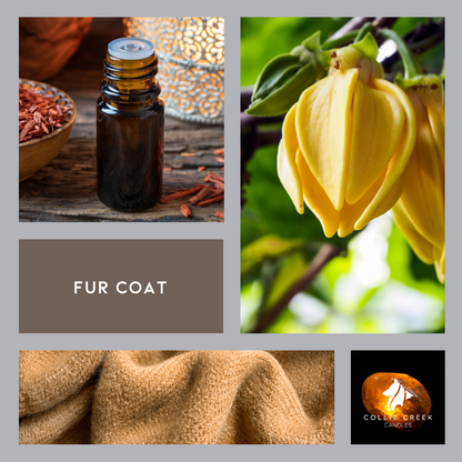 Fur Coat mood board with images of cashmere sweater, flowers and amber.