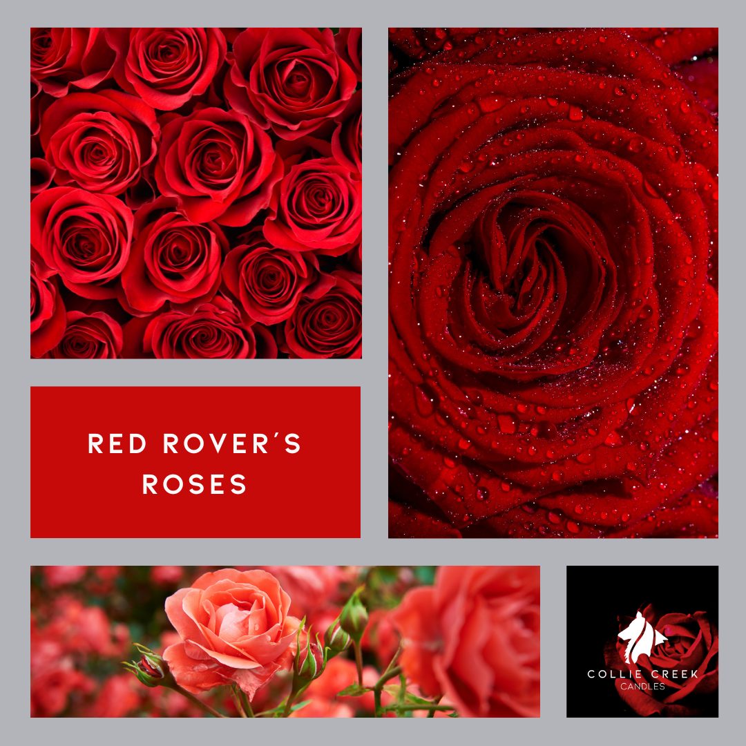 Red Rover's Roses